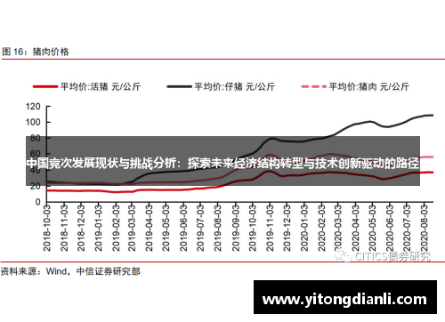 中国竞次发展现状与挑战分析：探索未来经济结构转型与技术创新驱动的路径