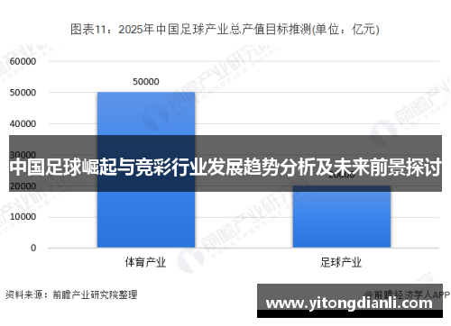 中国足球崛起与竞彩行业发展趋势分析及未来前景探讨