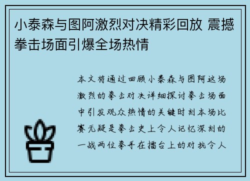 小泰森与图阿激烈对决精彩回放 震撼拳击场面引爆全场热情
