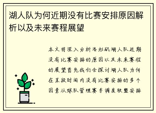 湖人队为何近期没有比赛安排原因解析以及未来赛程展望